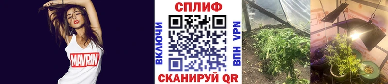 Как найти закладки Орск ГАШИШ  А ПВП  МЕФ 
