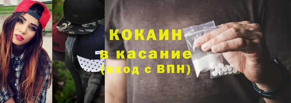 прущие грибы Богородск