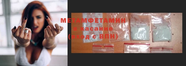 прущие грибы Богородск